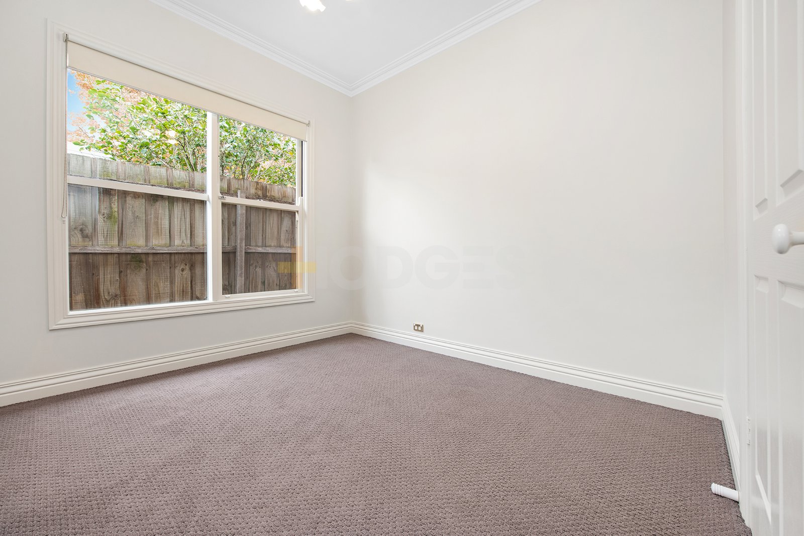 Gallery: 19 Corris Street