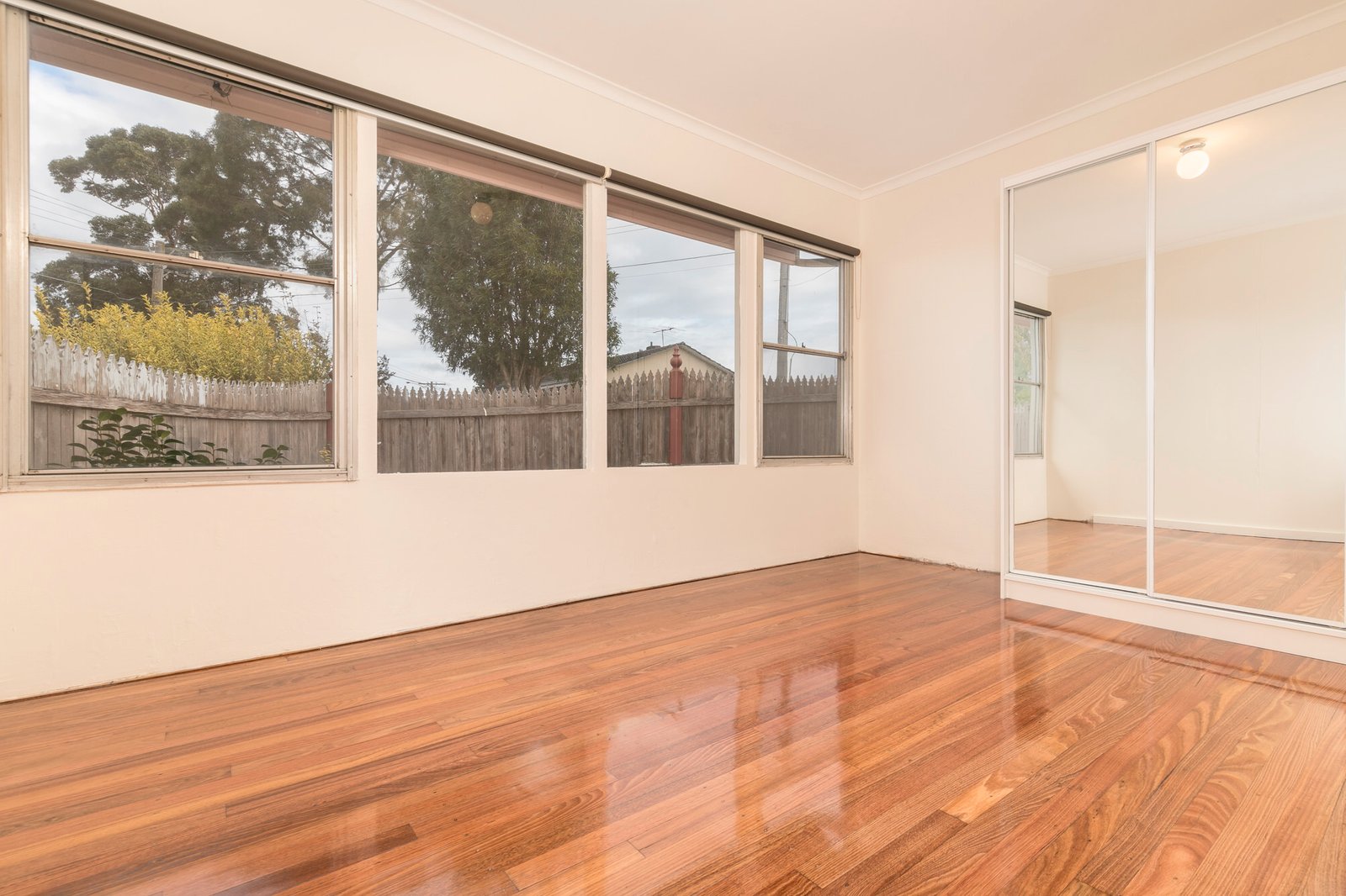 Gallery: 19 Corsican Street