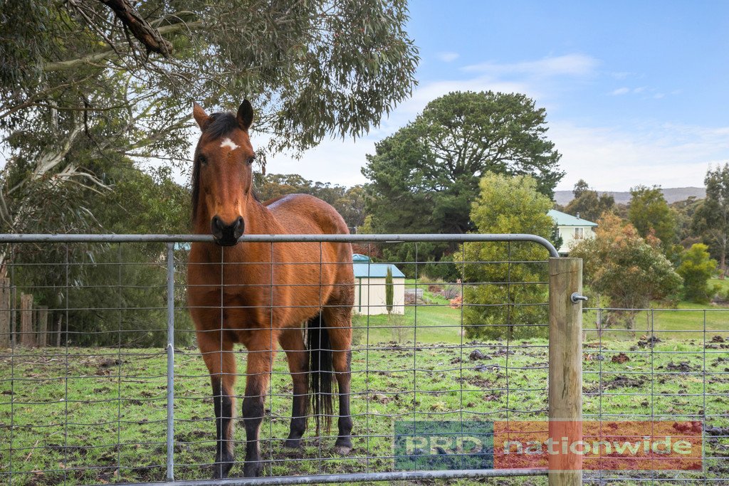 19 Cynthia Court HADDON 13