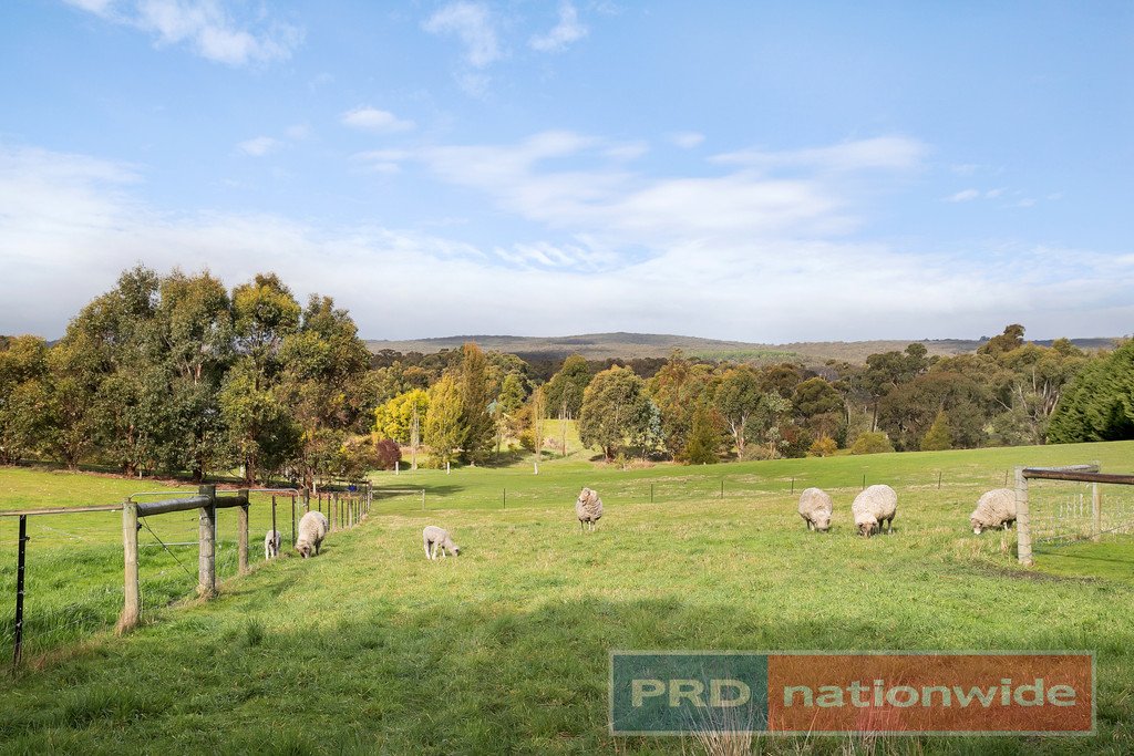 19 Cynthia Court HADDON 15