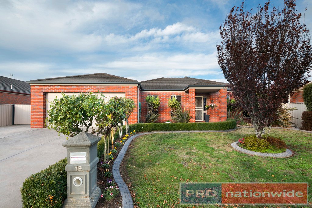 19 Dyson Drive ALFREDTON 1