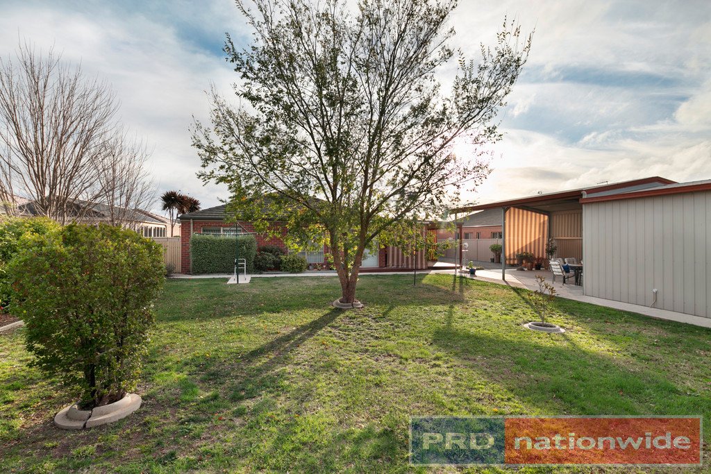 19 Dyson Drive ALFREDTON 10