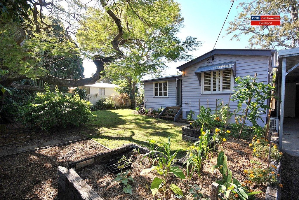 19 Echlin Street LABRADOR 3