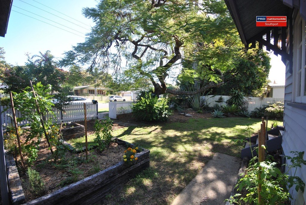 19 Echlin Street LABRADOR 4