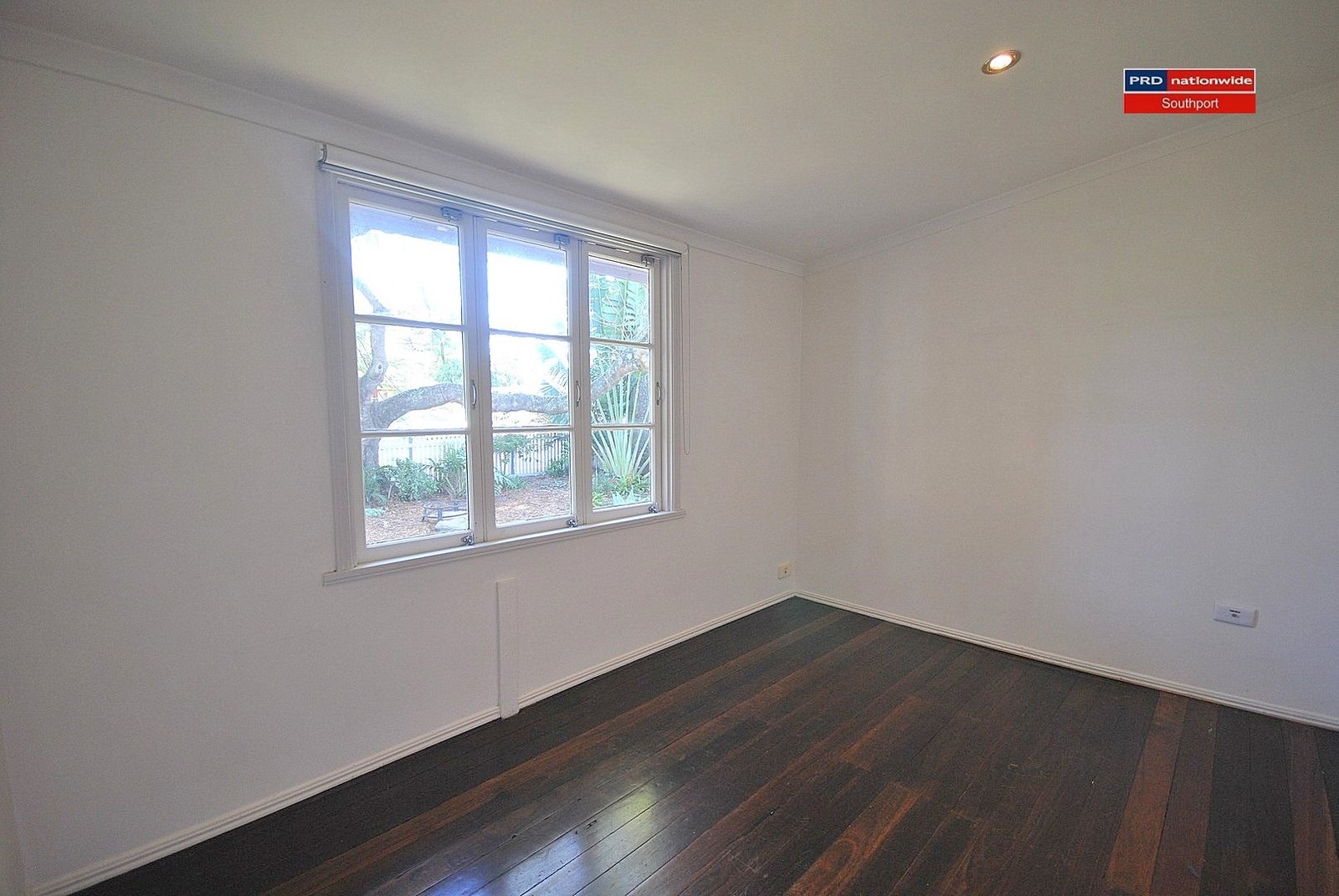 19 Echlin Street LABRADOR 8