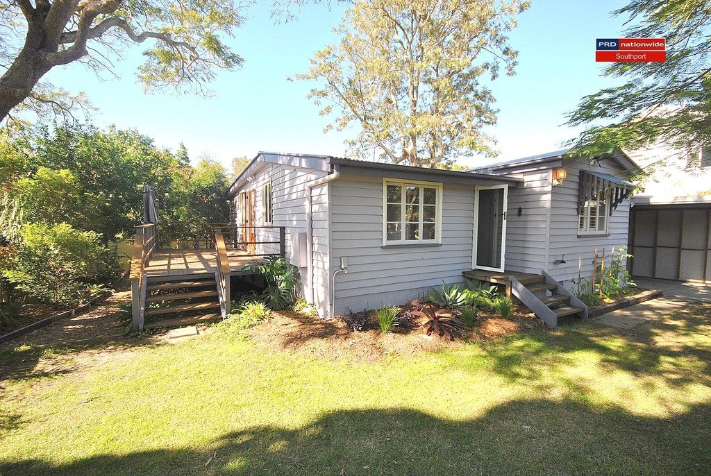 19 Echlin Street LABRADOR 15