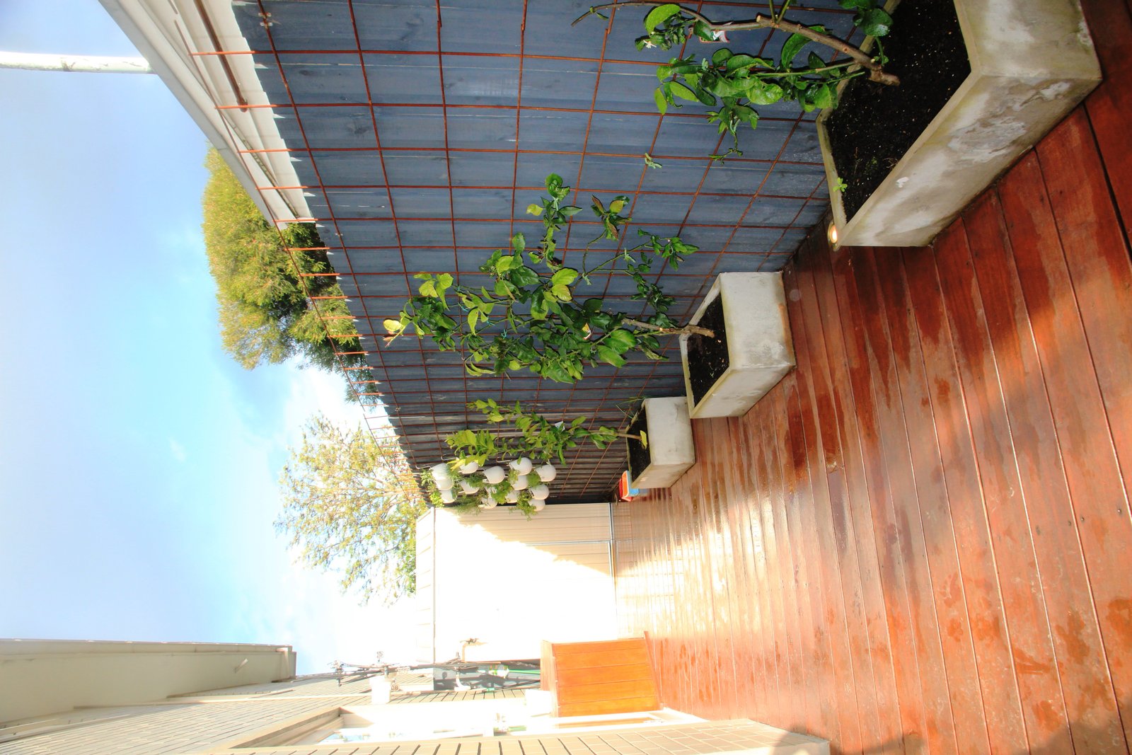 Gallery: 1/9 Evelyn Street