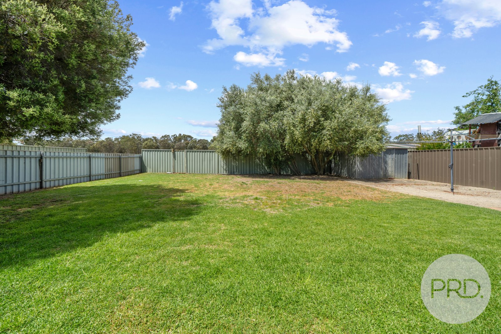 19 Forrest Street LAKE ALBERT 13