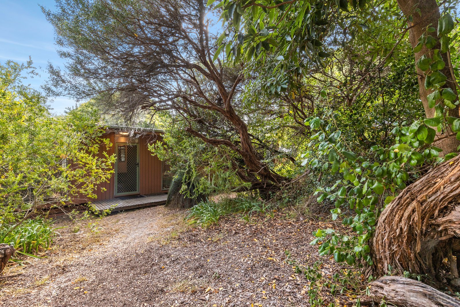 Real Estate and Property in 19 Girvan Grove, Point Lonsdale, VIC