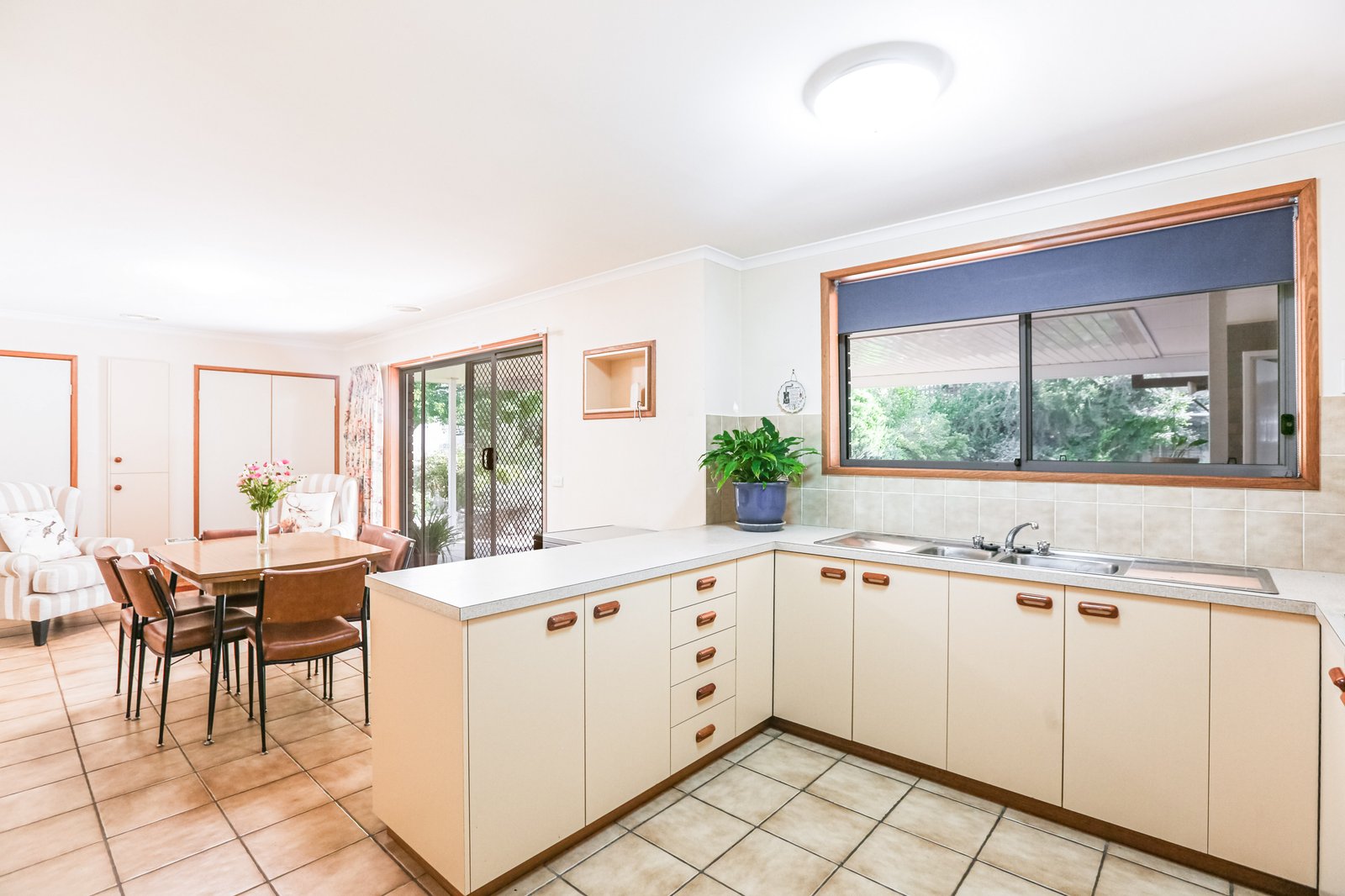 19 Hamilton Valley Court LAVINGTON 4