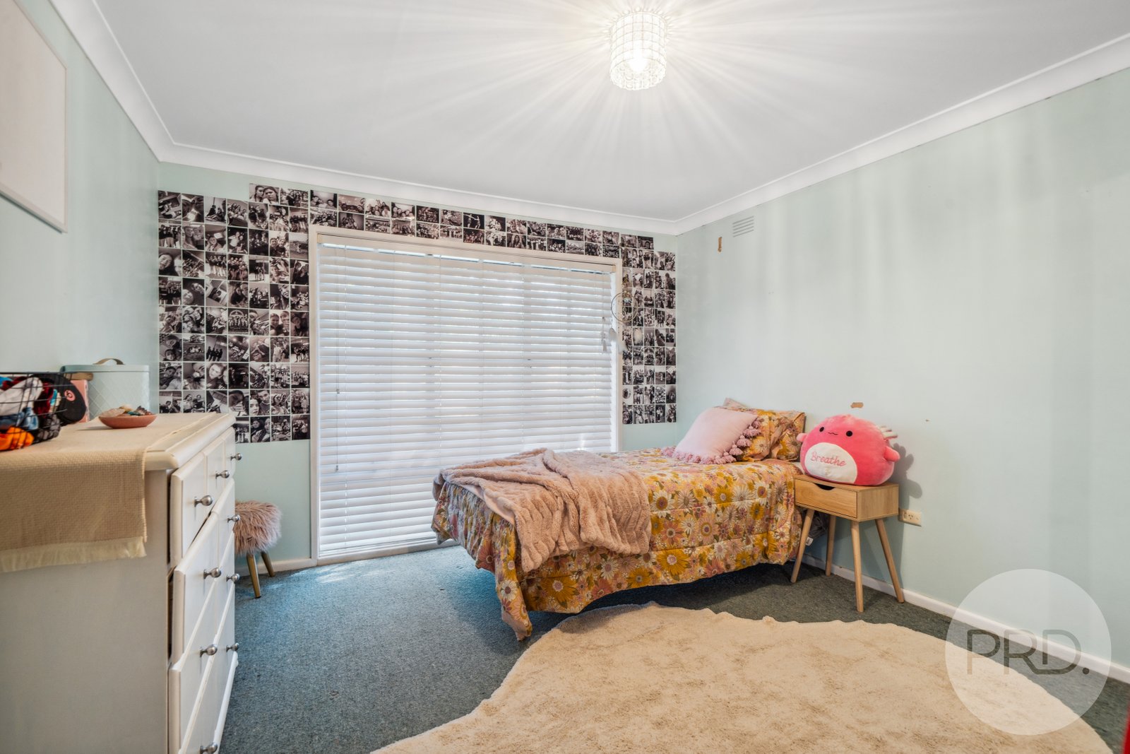 19 Holloway Street TOLLAND 9