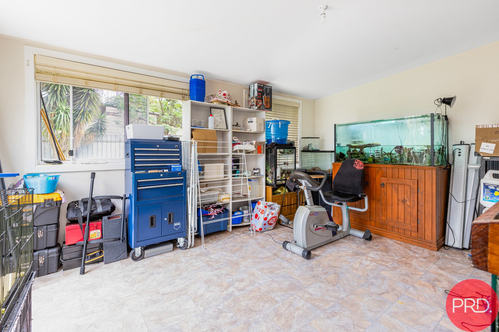 19 Kenneth Street EAST MAITLAND 11