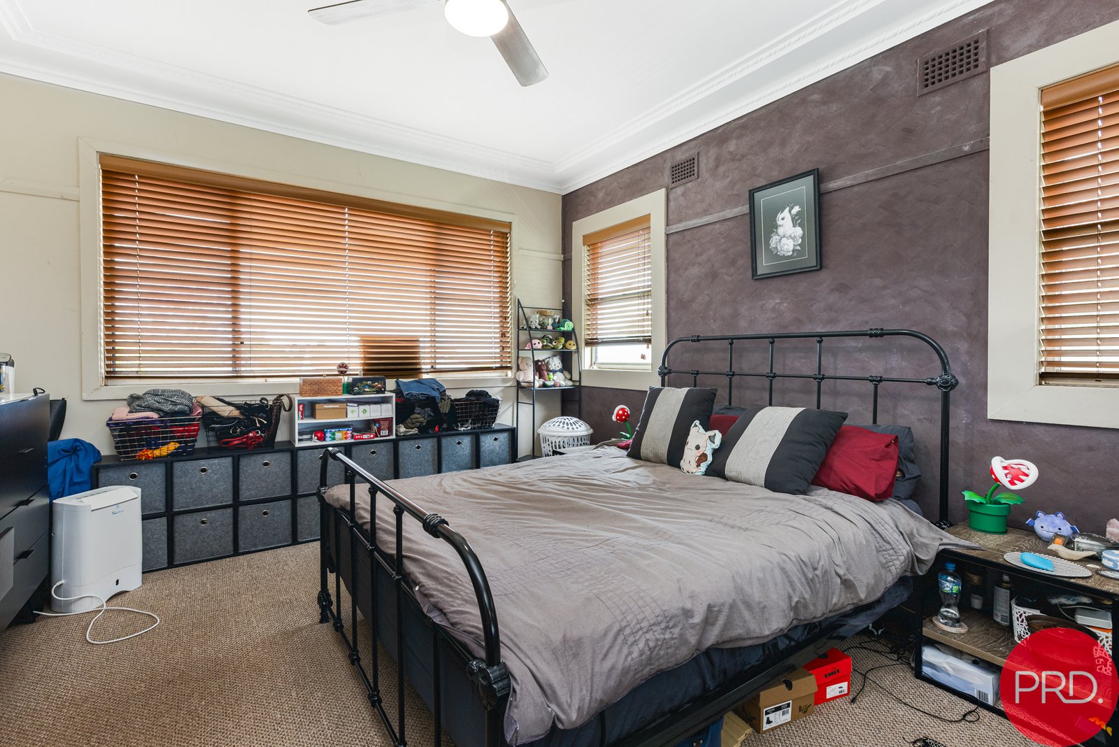 19 Kenneth Street EAST MAITLAND 12