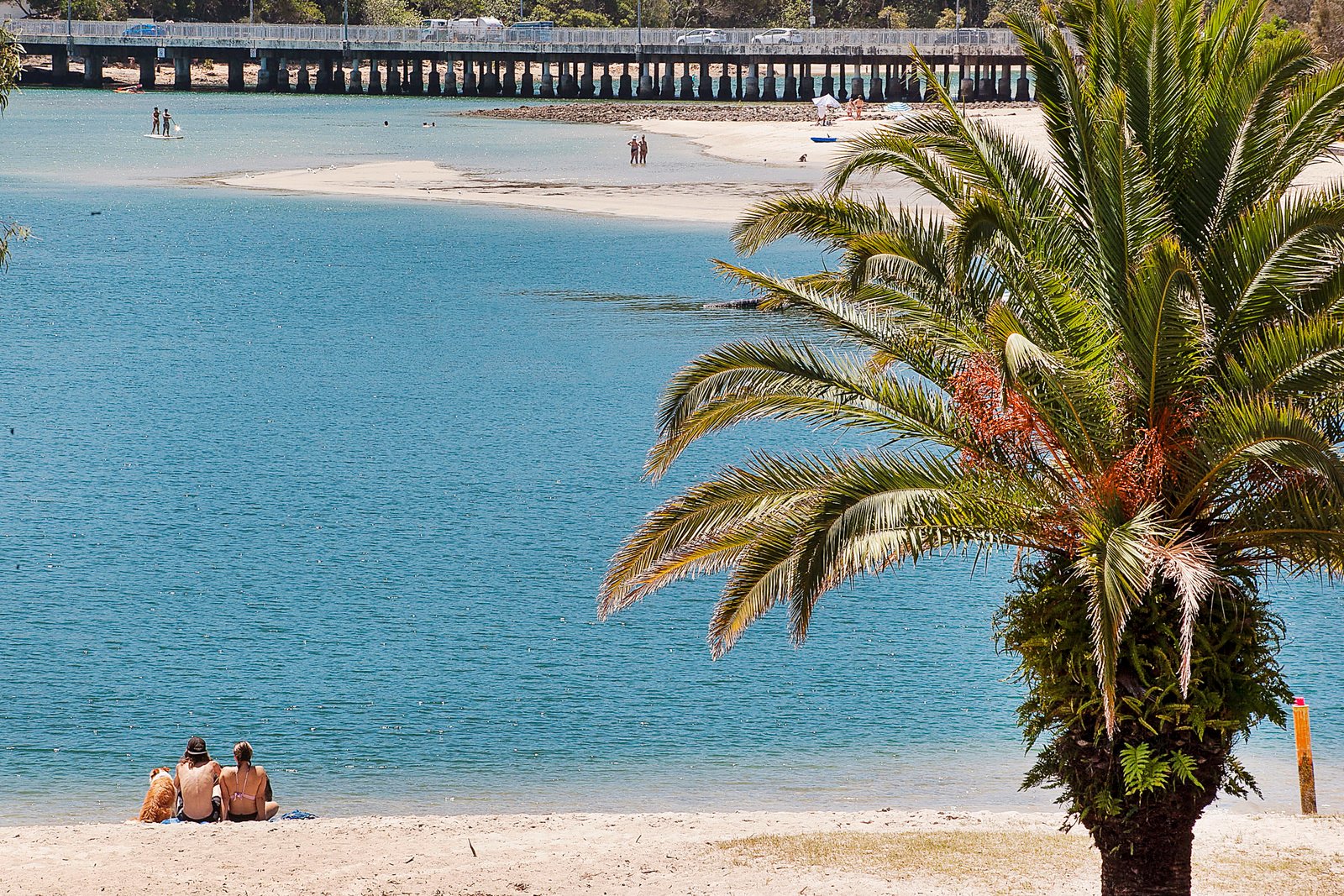 19 Kentia Court ELANORA 16