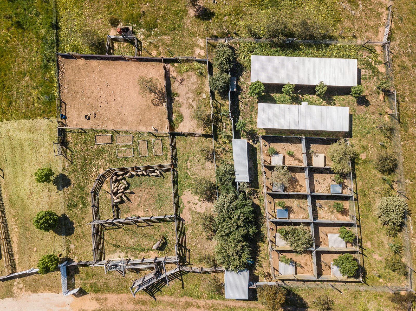 19 Kookaburra Court EPPALOCK 14