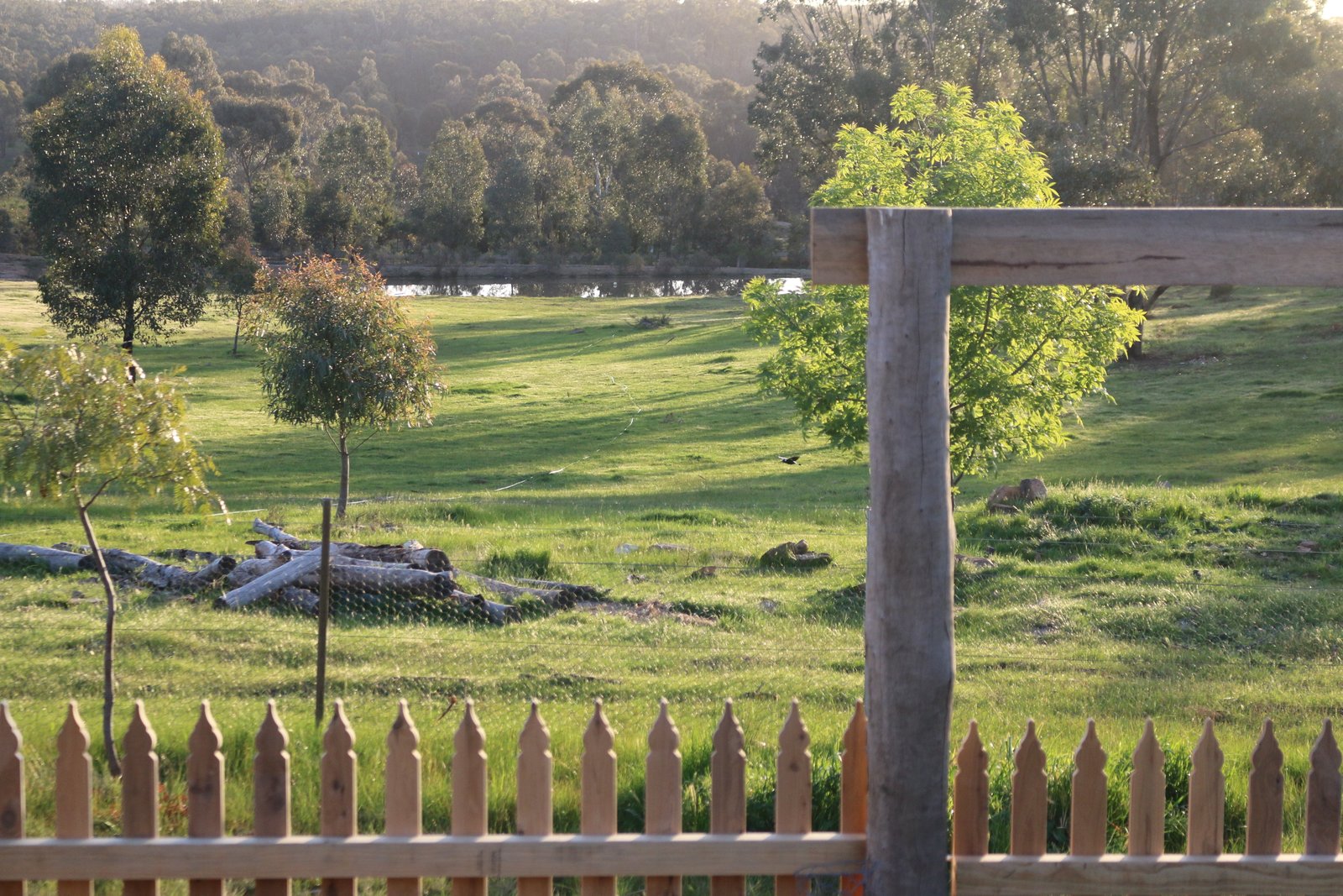 19 Kookaburra Court EPPALOCK 16