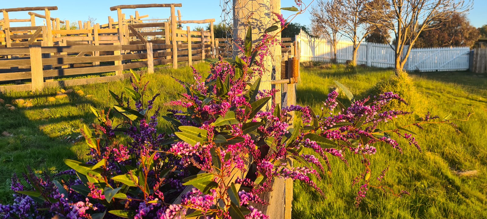 19 Kookaburra Court EPPALOCK 17