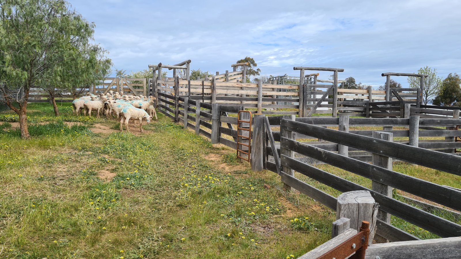 19 Kookaburra Court EPPALOCK 19