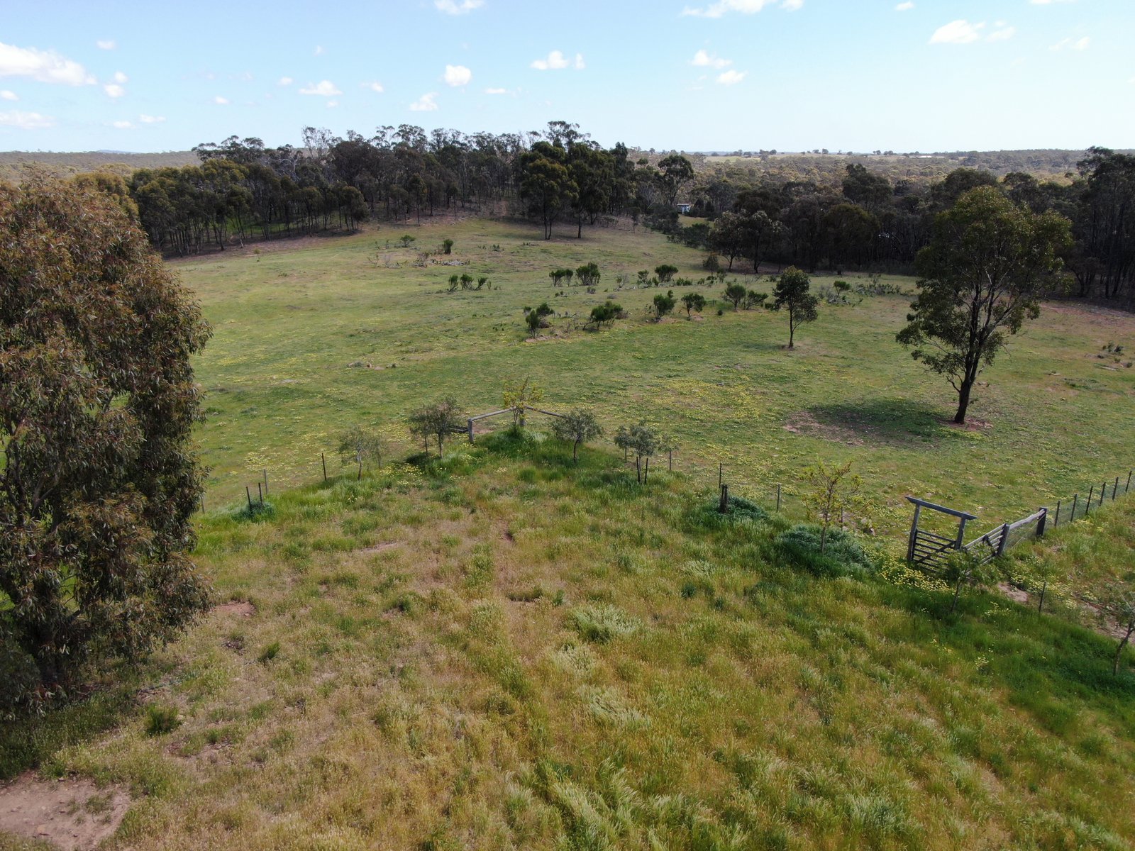 19 Kookaburra Court EPPALOCK 22