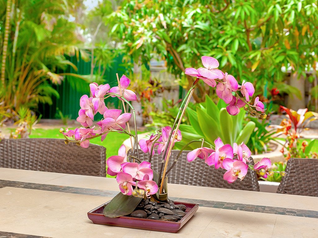 19 Lanai Drive BURLEIGH WATERS 7