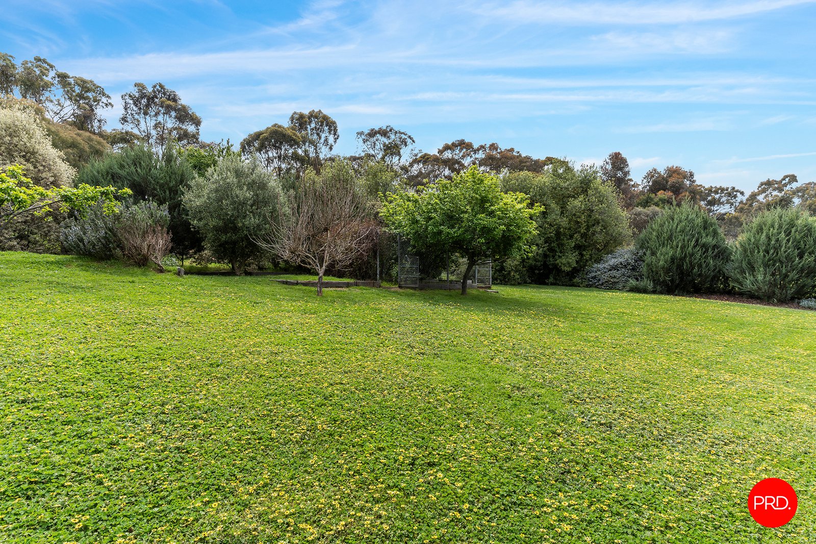 19 Lawson Parade CASTLEMAINE 23