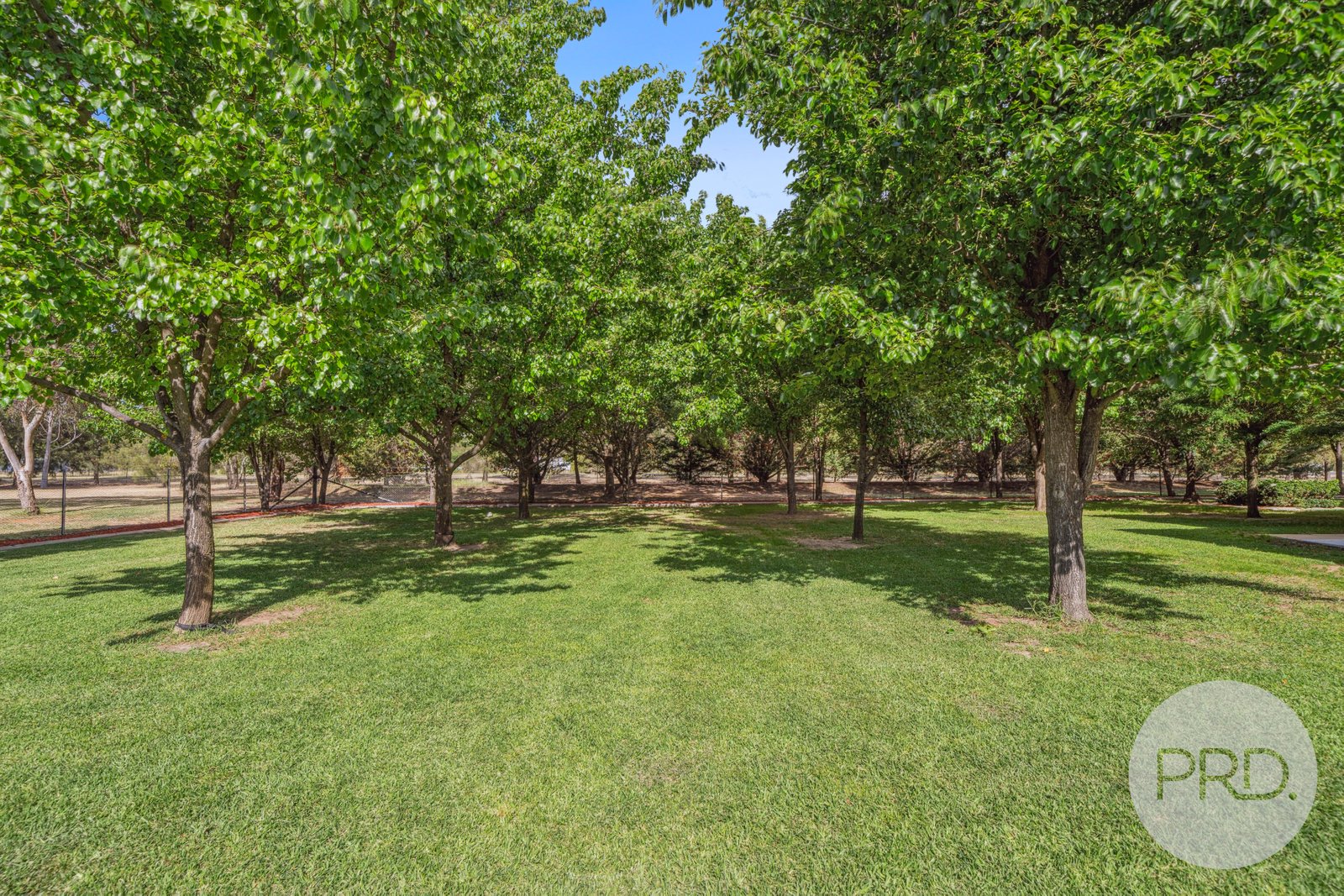 19 Lloyd Road SPRINGVALE 35