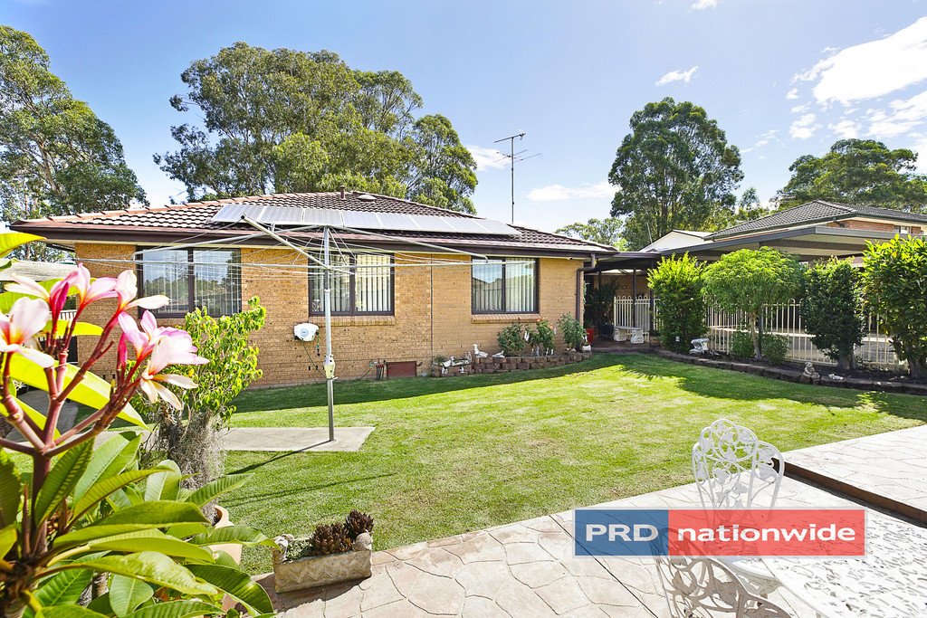 19 Moxham Street CRANEBROOK 8