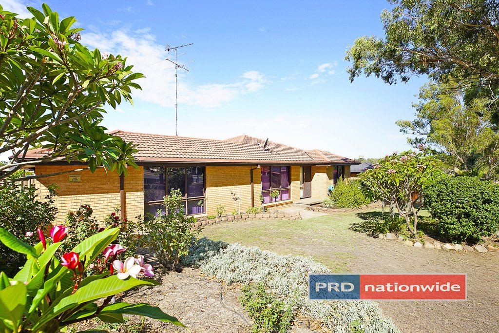 19 Moxham Street CRANEBROOK 10