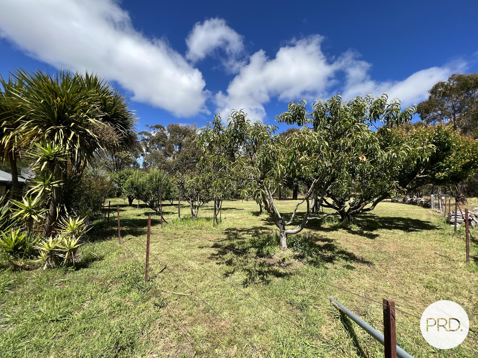 19 Mulloon Road MULLOON 22