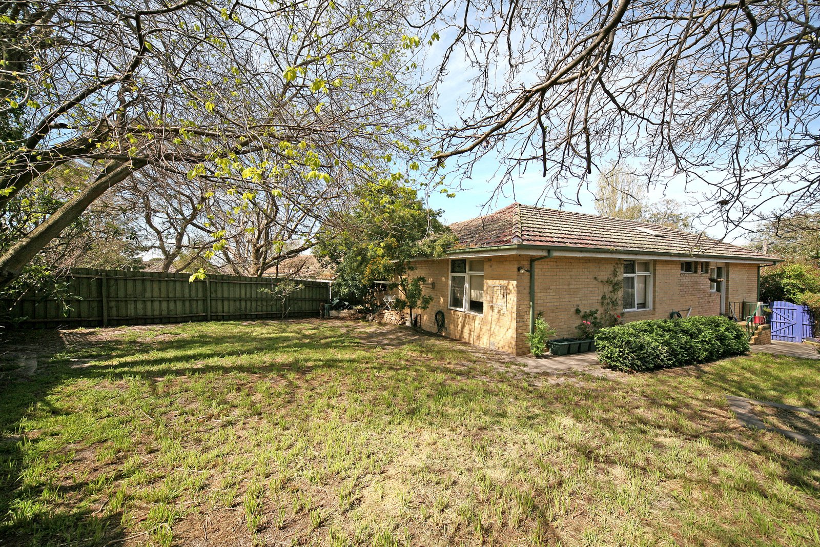 Gallery: 19 Olive Grove