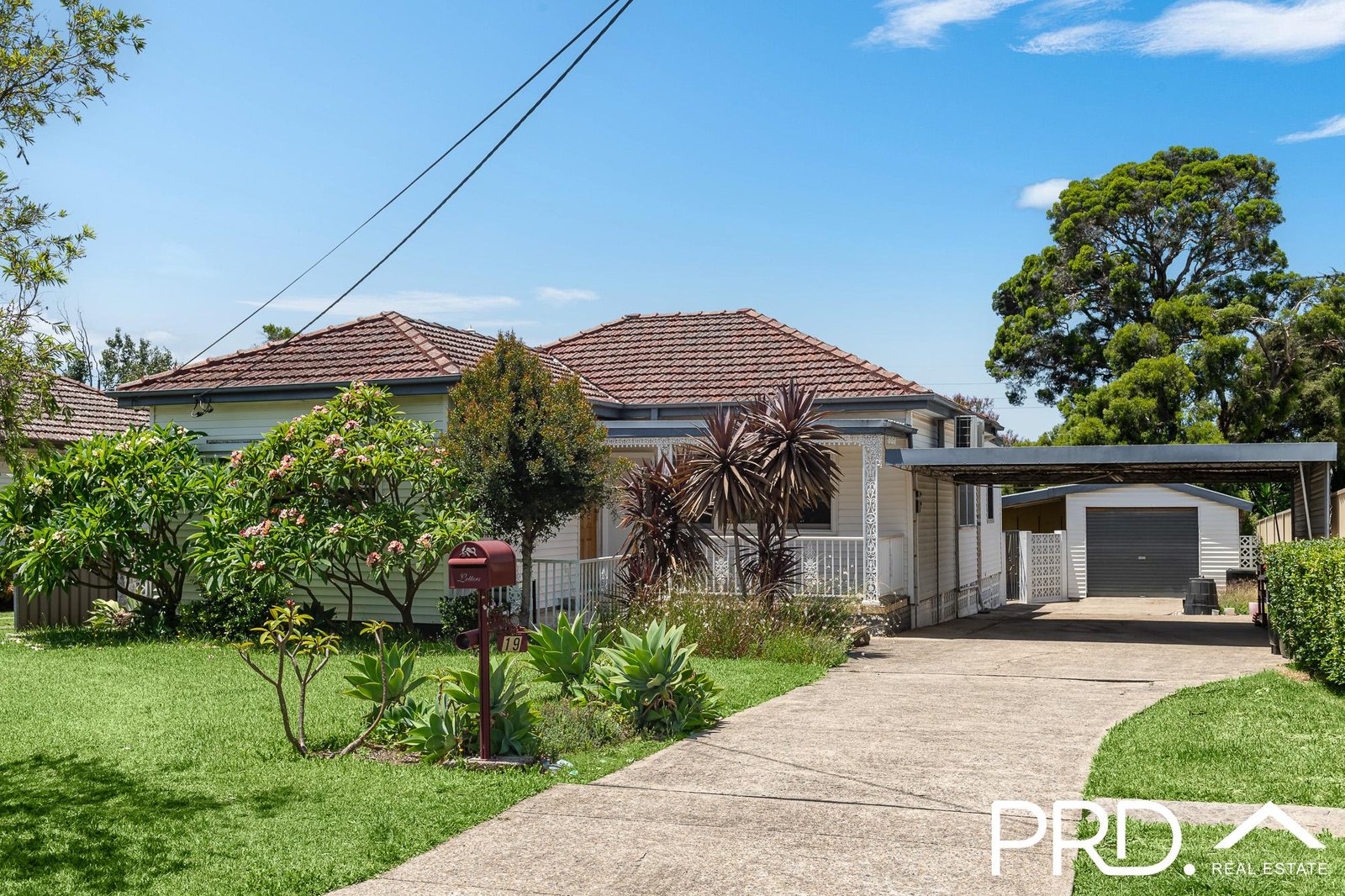 19 Presland Avenue REVESBY 1
