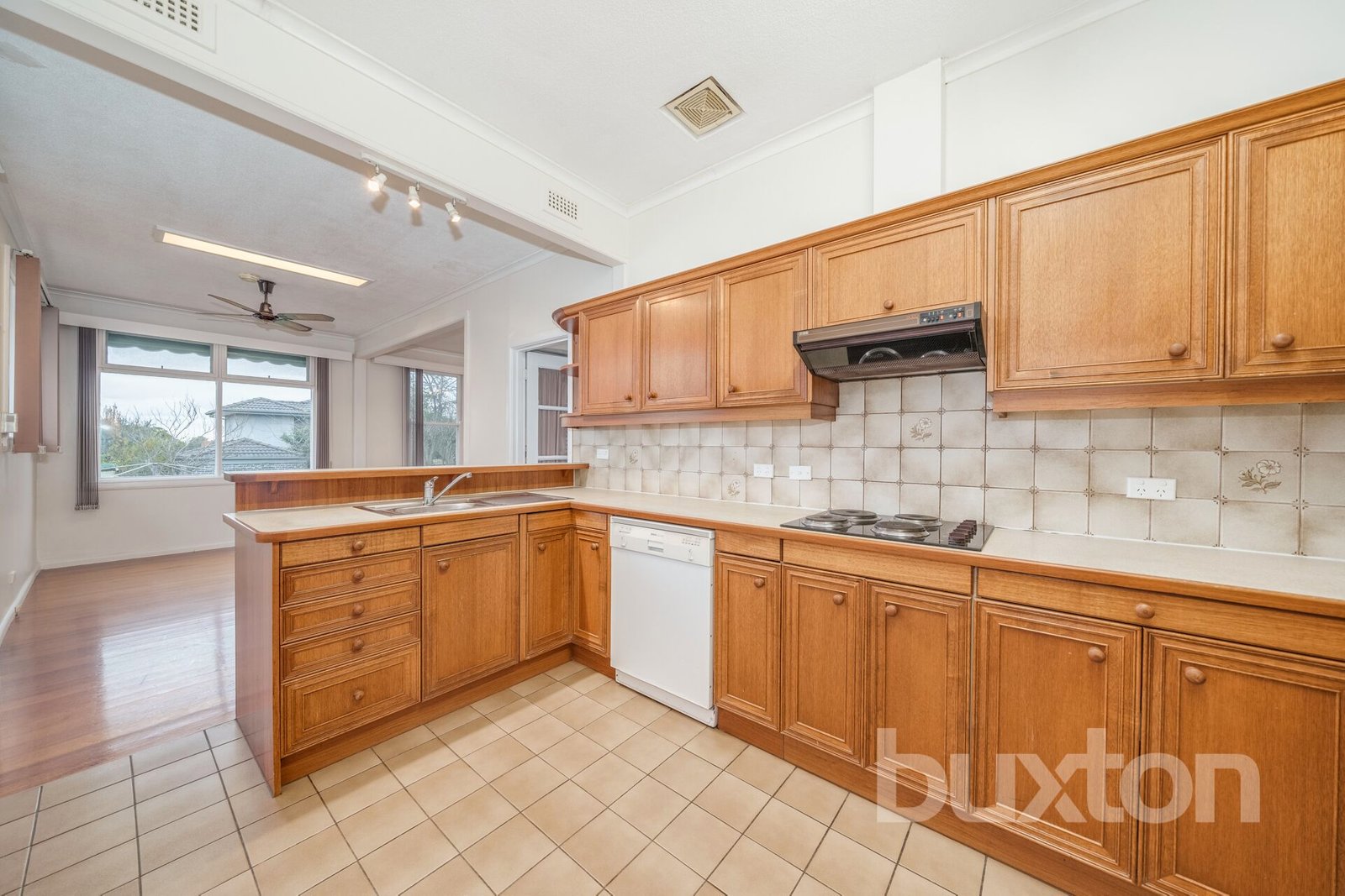 Gallery: 19 Raymond Street