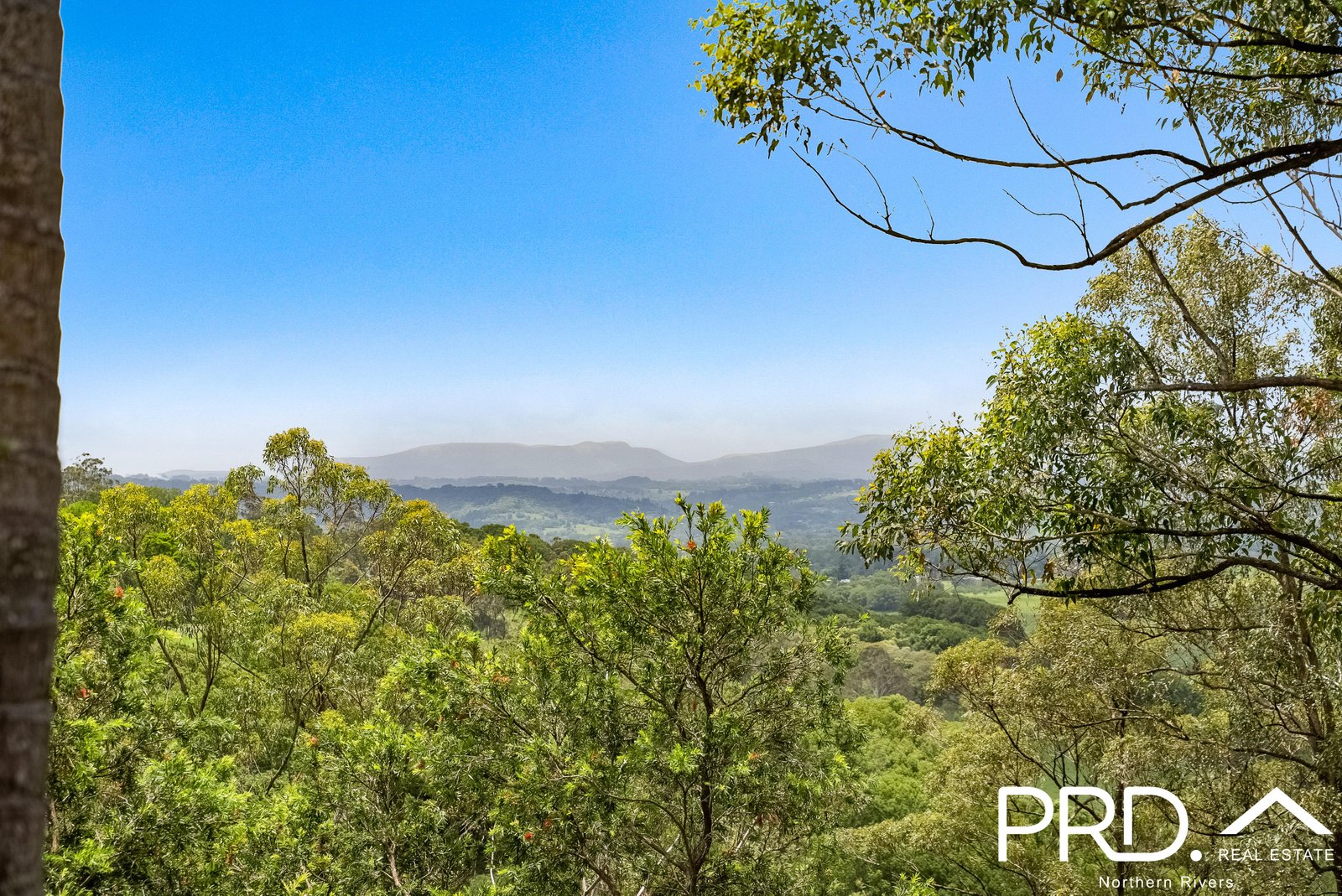 19 Redwood Grove GOONELLABAH 14