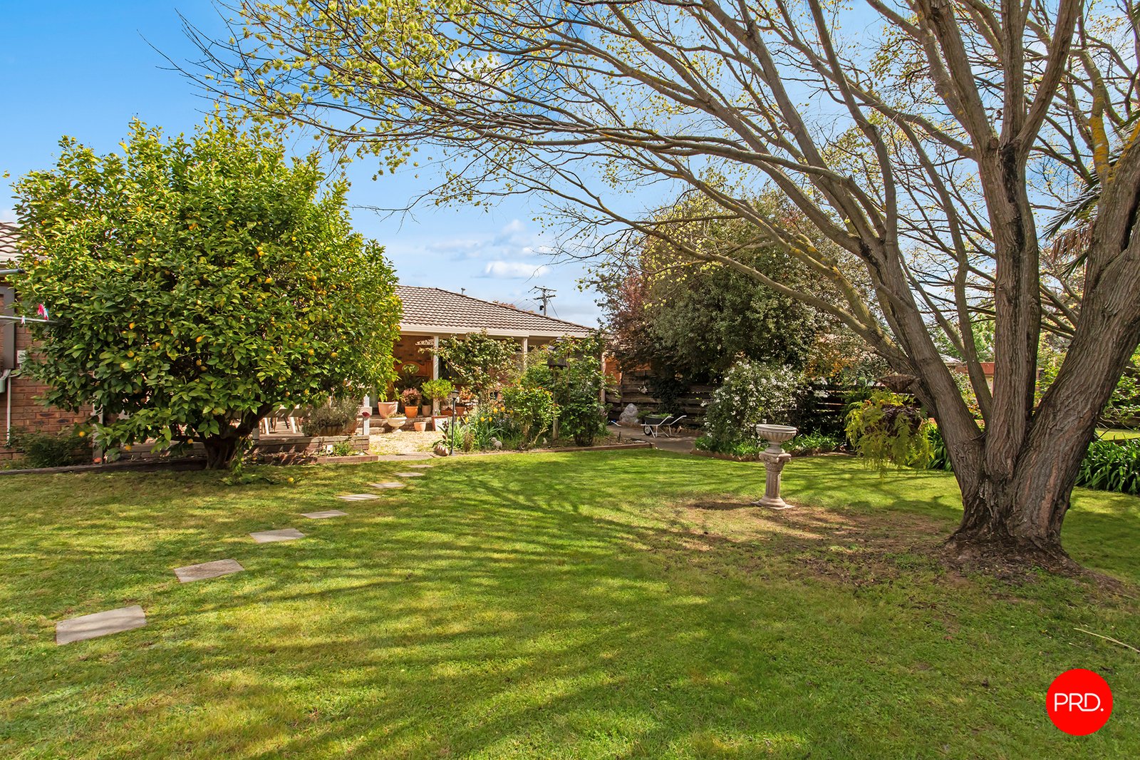 19 Ridgeway Crescent KENNINGTON 3