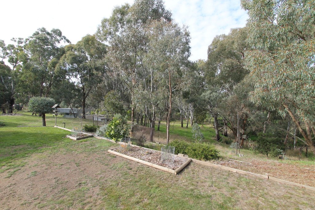 19 Rifle Range Road LEXTON 18