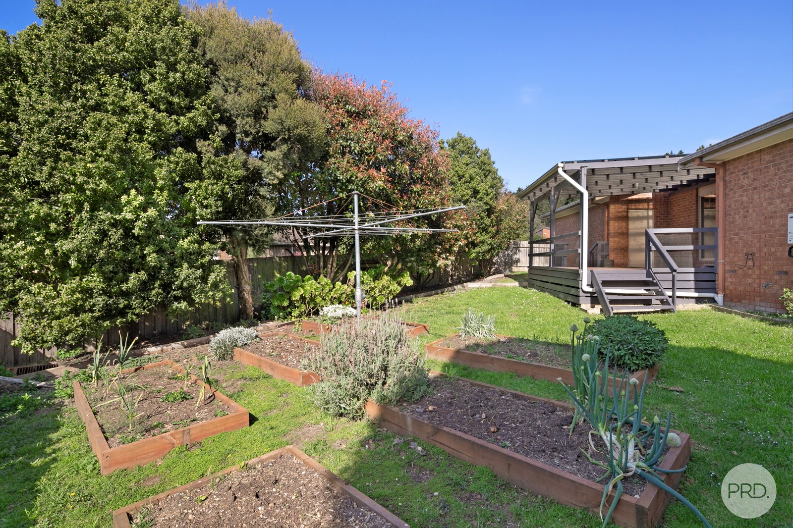 19 Rodney Avenue CANADIAN 8