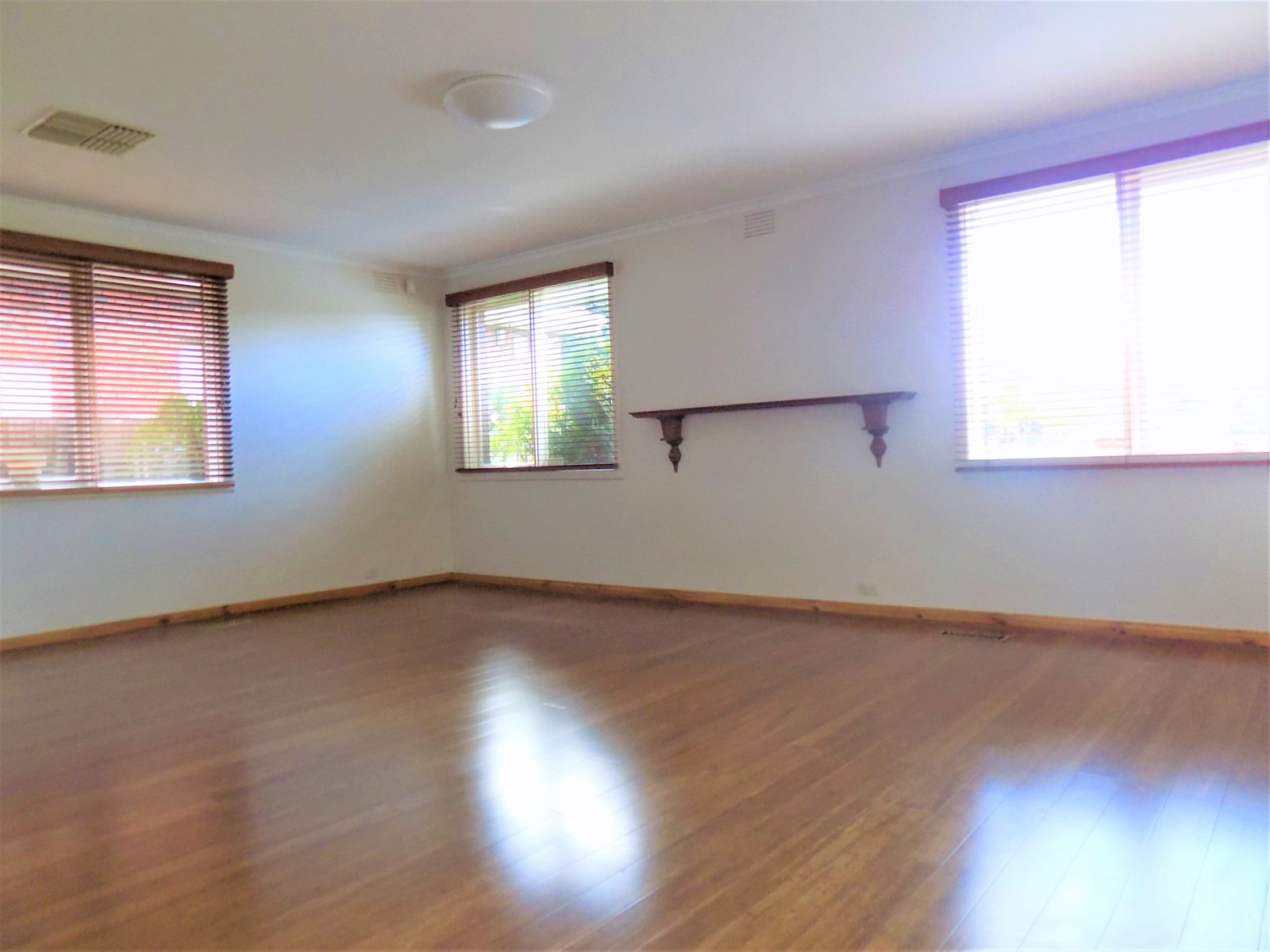 Gallery: 19 Rosemary Street