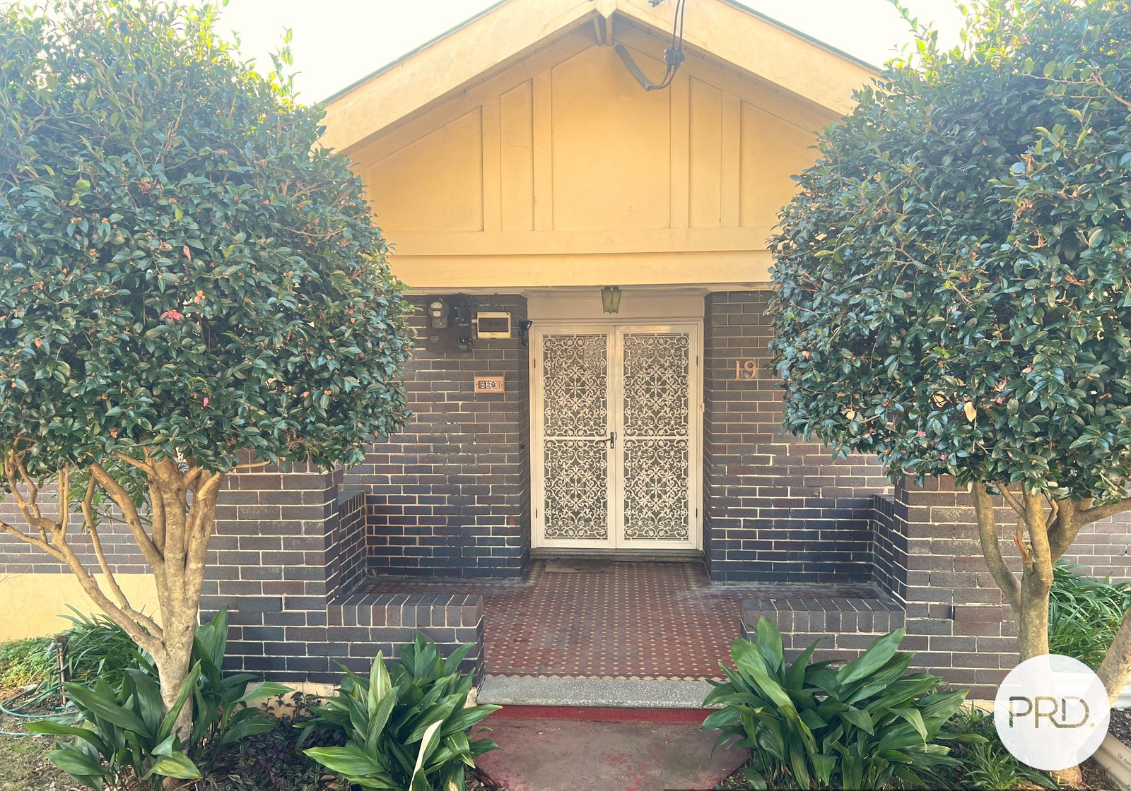 19 Salisbury Street SOUTH HURSTVILLE 1