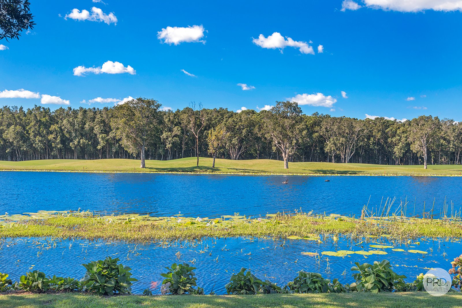 19 Sandpiper Avenue SALAMANDER BAY 8