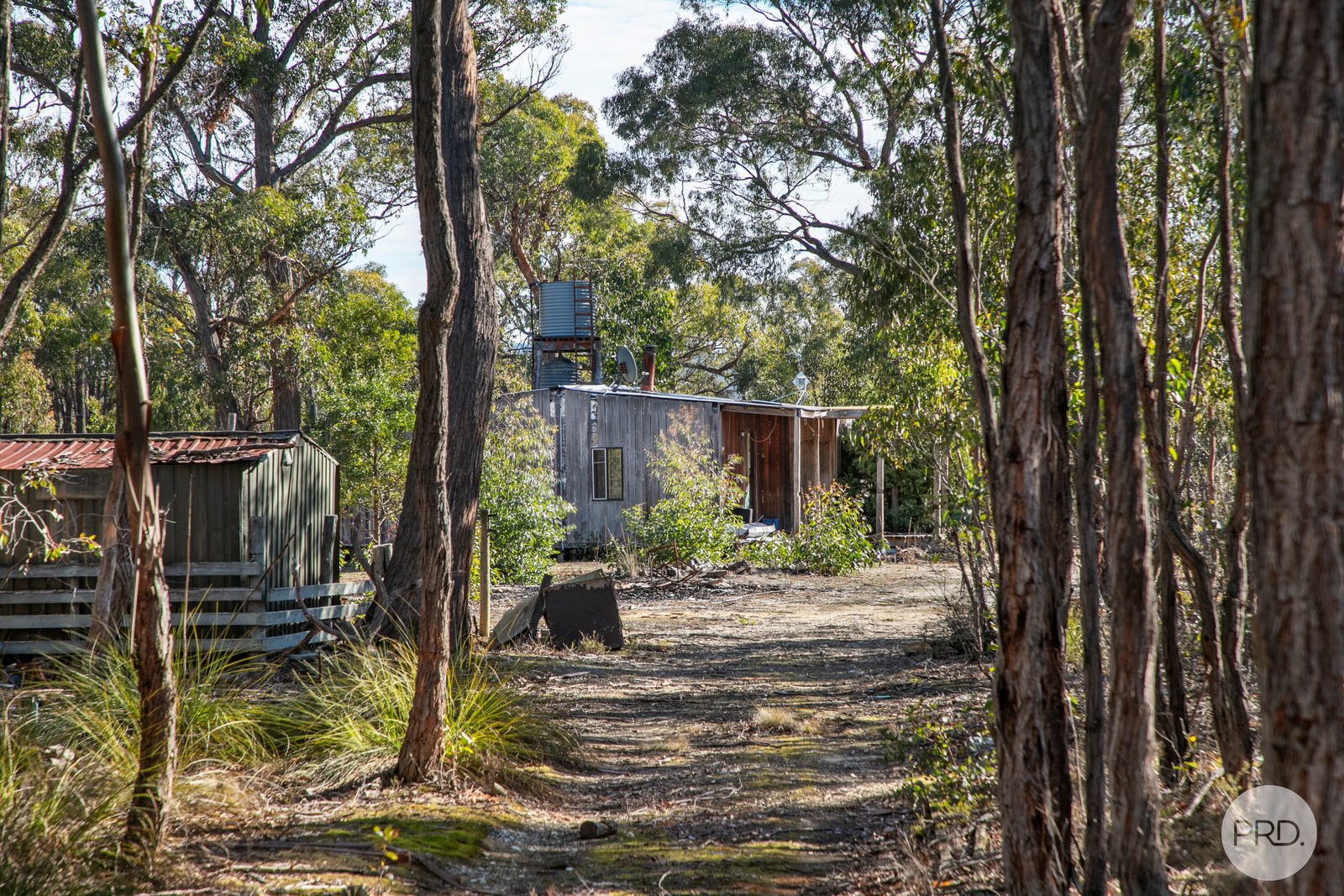 19 Sells Road PIGGOREET 7