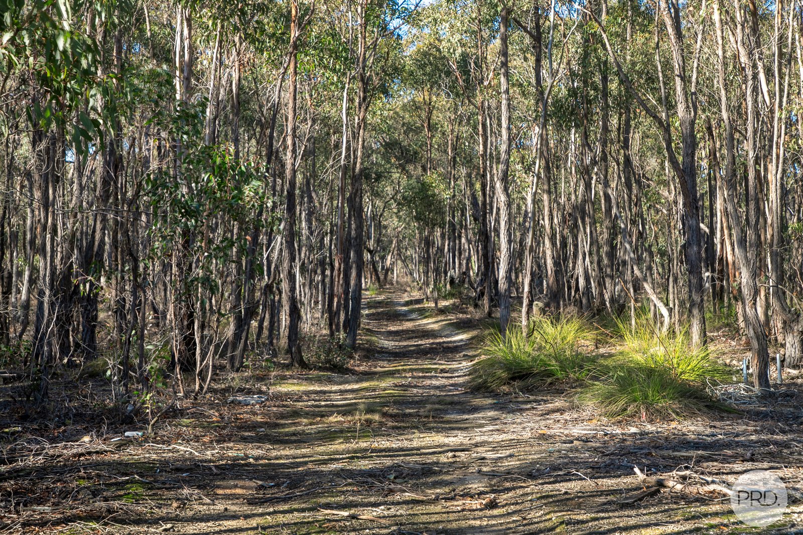 19 Sells Road PIGGOREET 8