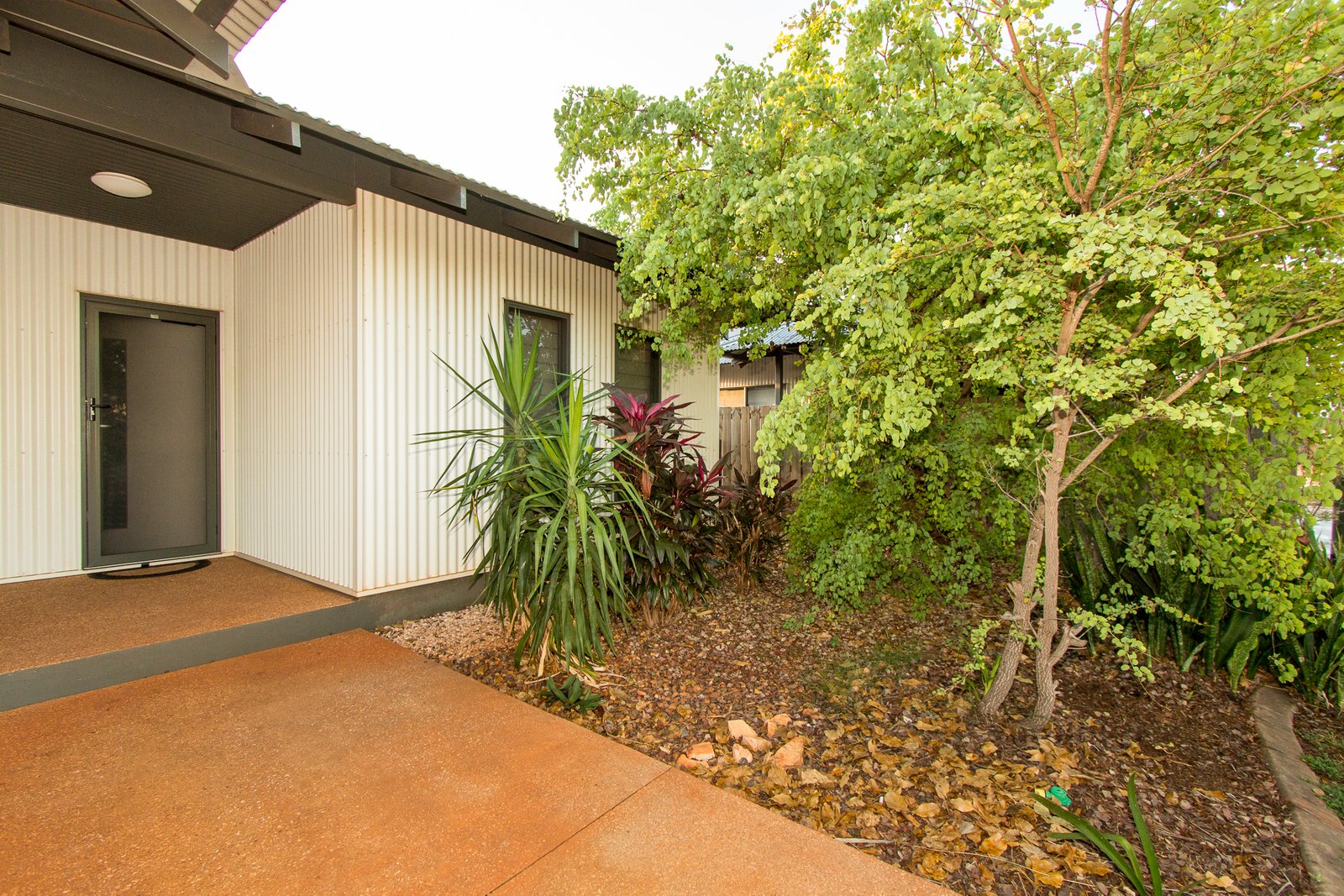 19 Shiosaki Brace  BILINGURR 4