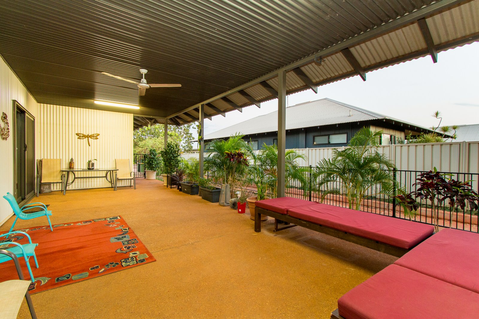 19 Shiosaki Brace  BILINGURR 5