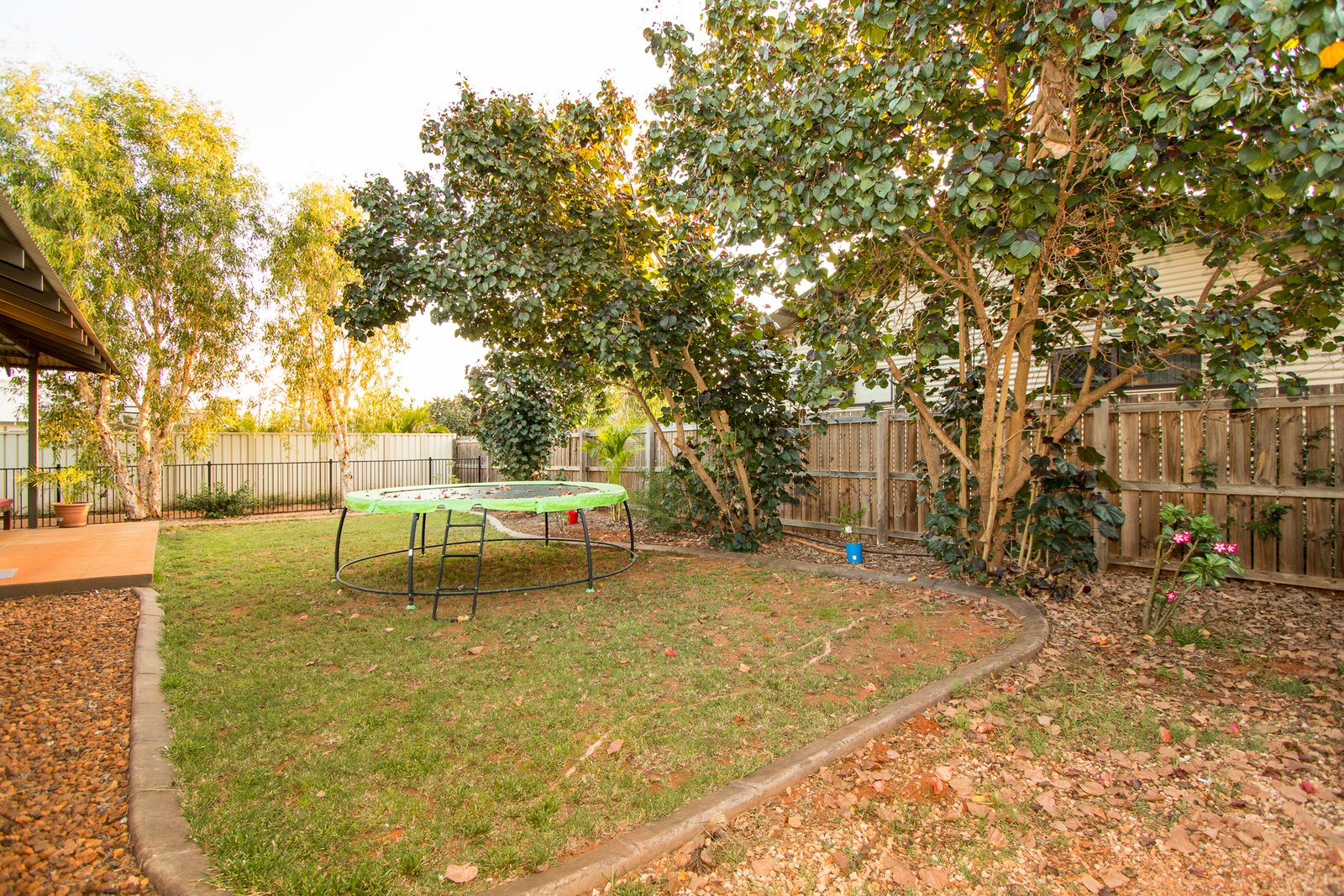 19 Shiosaki Brace  BILINGURR 8