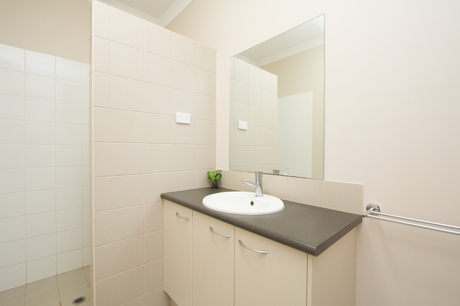 19 Shiosaki Brace  BILINGURR 10