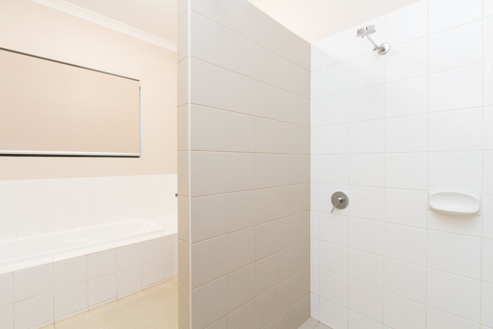 19 Shiosaki Brace  BILINGURR 11