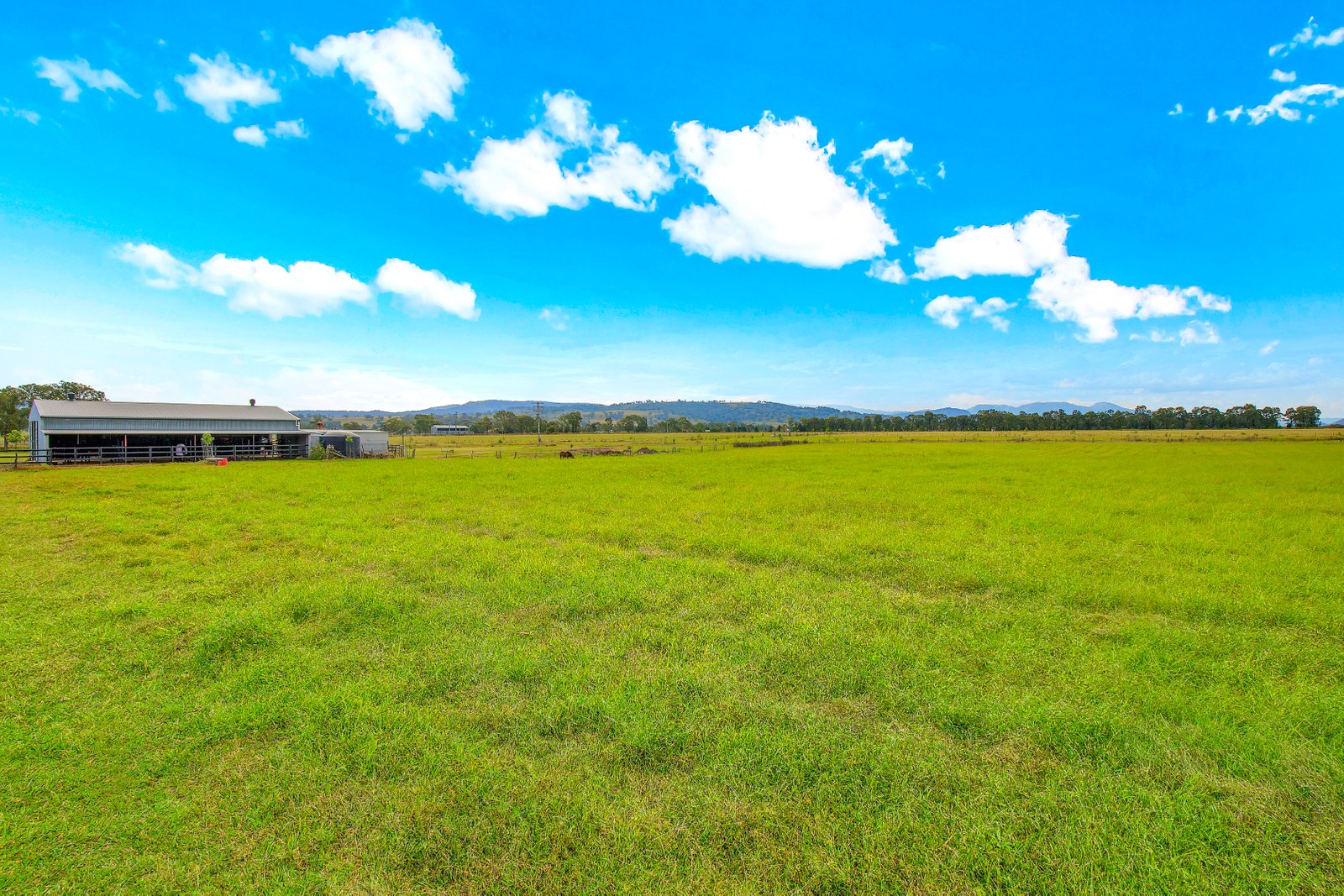 19 Smiths Road SCONE 9