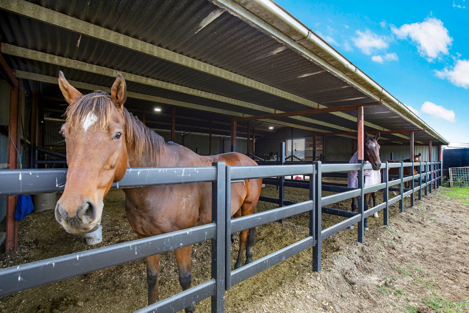 19 Smiths Road SCONE 15