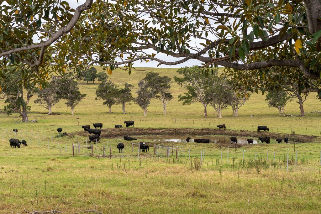19 South Avondale Road DAPTO 2