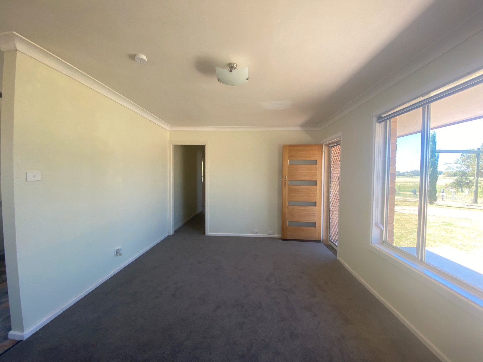 19 Terry Street TAMWORTH 2